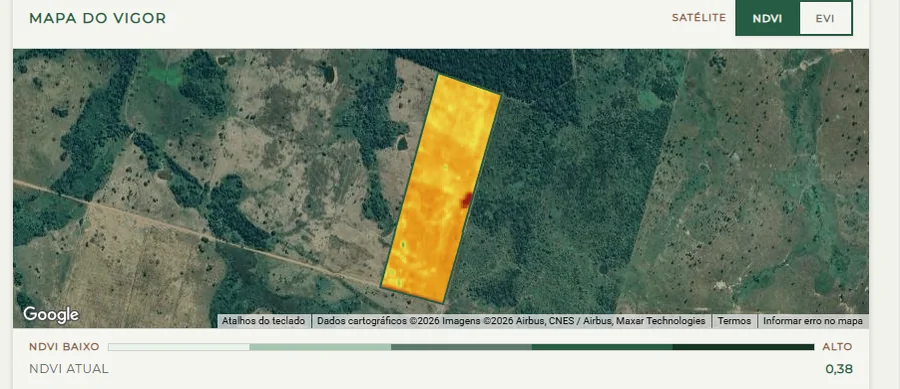 Mapa do vigor do Ortu Agro: o piquete desenhado sobre o satélite, colorido pelo NDVI